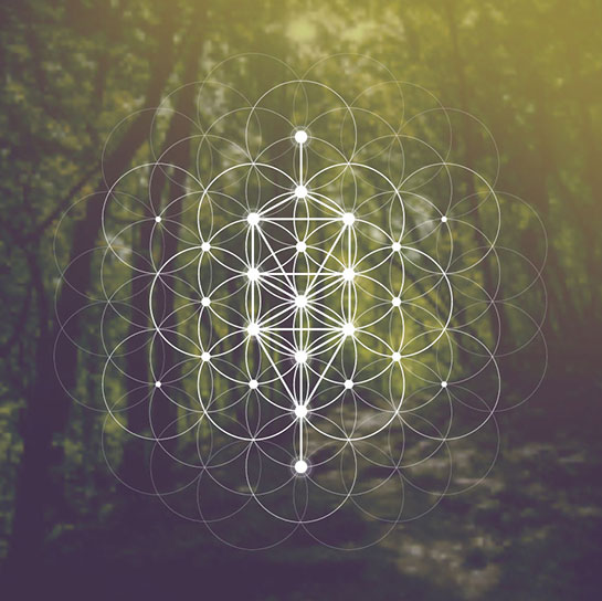 Looking for psychologist red deer ?