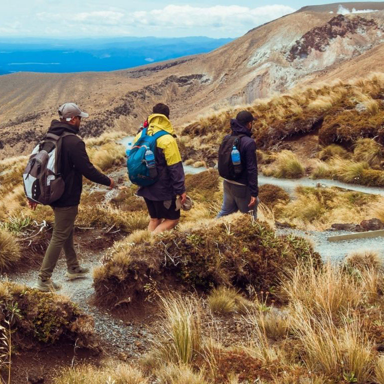 psychologist red deer