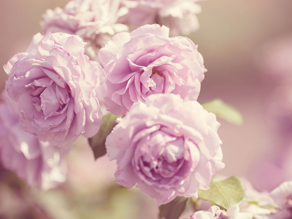 psychologist red deer, Alberta