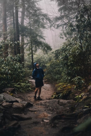 Adhd Assessment Red Deer